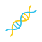DNA structure icon